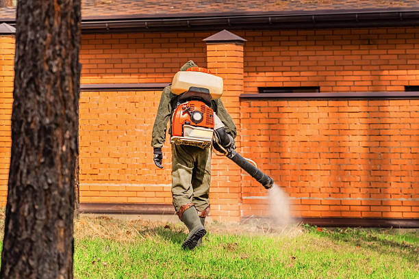 Bed Bug Clearance Verification and Documentation in Littlefield